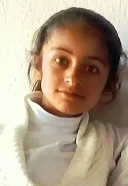 7 yaşındaki Evin'in cansız bedeni bulundu - 1