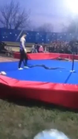 Dev piton gösteri yapan adamı seyircilerin gözü önünde boğdu! O anlar böyle görüntülendi