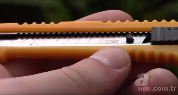 Dünyanın en çılgın buluşu! Kimsenin aklının ucundan bile geçmedi 15