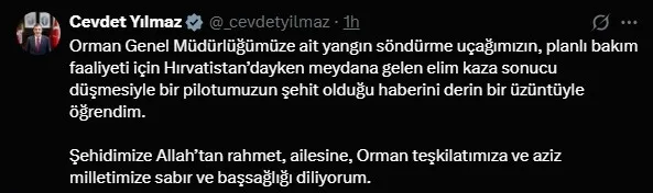 yangin-sondurme-ucagi-hirvatistanda-dustu-siyasilerden-taziye-mesajlari-1763070515113.jpg (fotoğraf: x platformu - ekran görüntüsü)