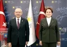 İYİ Parti’de istifalar ne anlama geliyor?