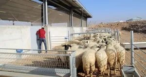 31 bin genç çiftçiye hibe desteği