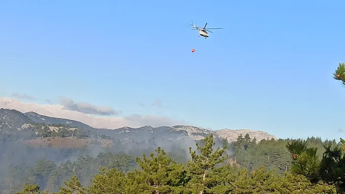 Son dakika: Adana'da orman yangını - 2
