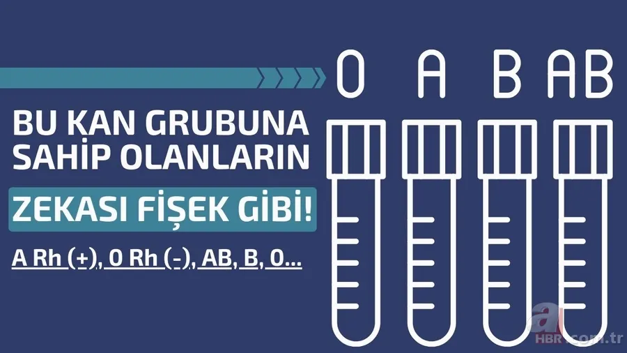 Bu kan grubuna sahip olanların zekası fişek gibi çıkıyor: A Rh (+), 0 Rh (-), AB, B, 0... 1