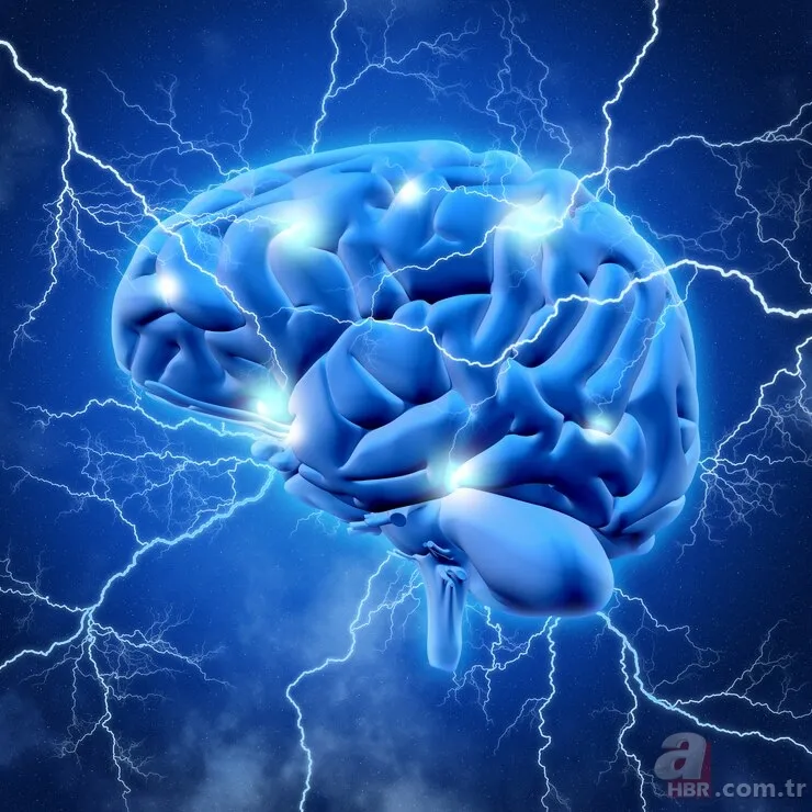 Felç riski COVID-19 aşısıyla artıyor mu? 100 binden fazla kişide görüldü: 17 ay hücrelerde birikerek... 10