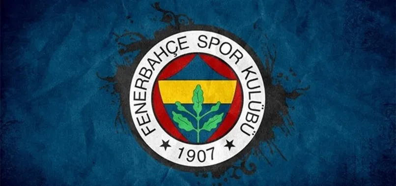 Fenerbahçe'de sakatlık şoku