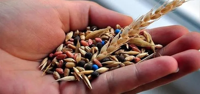 Yerli tohumlara 7 yeni çeşit eklendi