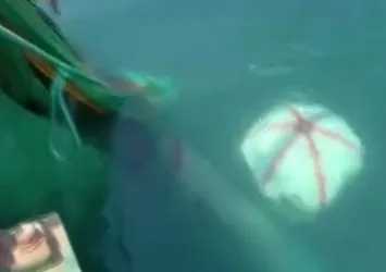 İzmir Karaburun açıklarında balıkçı ağına denizaltı torpidosu takıldı