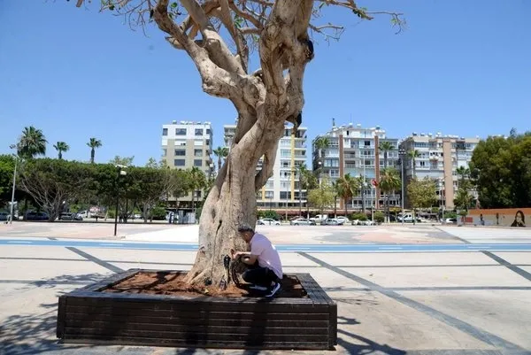 Mersin Özgecan Aslan Meydanı'ndaki ağacın kurutulması skandalında yeni gelişme! Savcılık ifadesi ortaya çıktı - 7