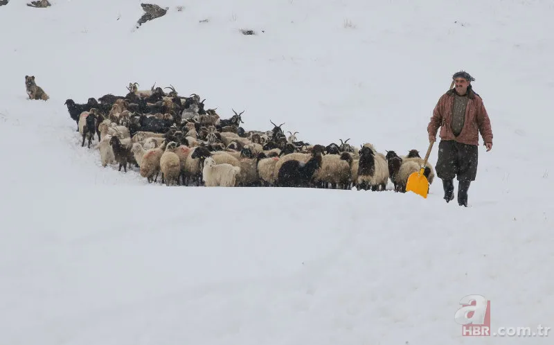 Hakkari'de kar yağışı şehri beyaza bürüdü! Onlarca köy yolu ulaşıma kapandı 16