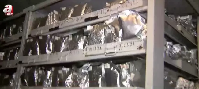 İşte Türkiye’nin Tohum Gen Bankası! Binlerce çeşit geleceğe aktarılıyor