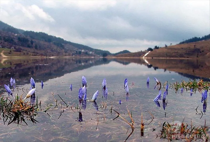 2. cemre suya ne zaman düşer? İlk, İkinci ve Üçüncü Cemre Tarihleri 2025 2