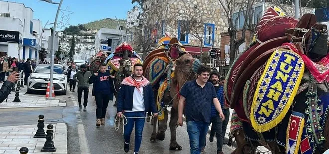 Bodrum’da develer meydana indi, turistler ilgi gösterdi