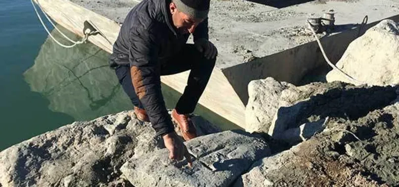 Van Gölü'nden 'haç' figürlü taşlar çıktı
