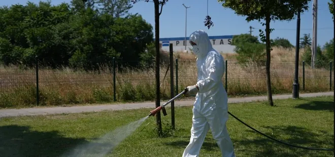 Kene mücadelesi başladı