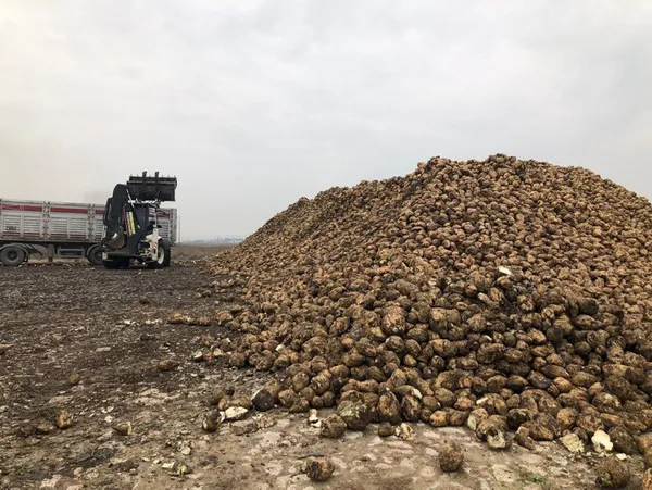 Devlet stokçunun peşine düştü şeker fiyatı indi