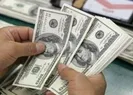 İşte Merkez Bankası rezervi gerçekleri
