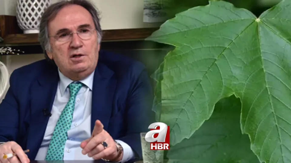 İbrahim Saraçoğlu tarifi açıkladı! Kireçlenmeyi 1 ayda bitiriyor! İşte doğal ağrı kesici...