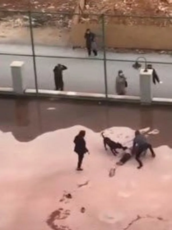Gaziantep'te iki pitbulun dişleri arasında ölümden dönen Asiye Ateş'ten haber var! İlk sözleri bakın ne oldu