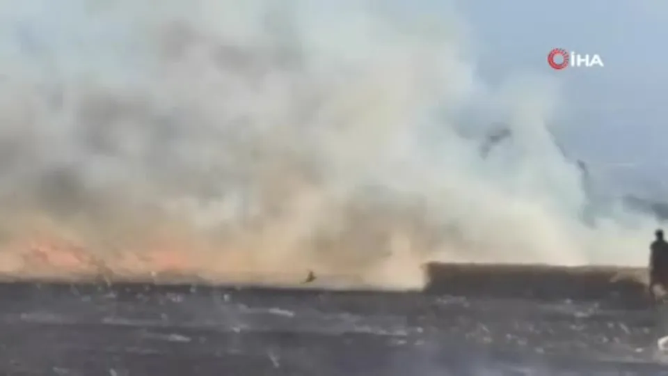 Bursa’da buğday tarlası küle döndü