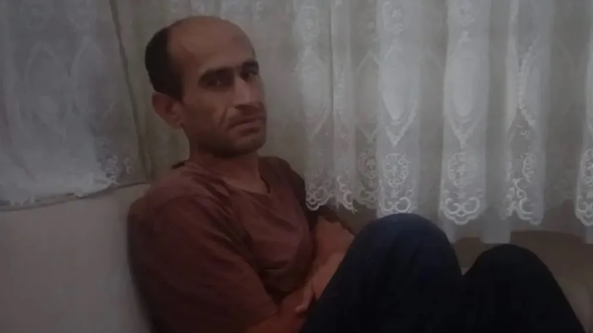Fatih'teki başıboş köpek dehşetinde yeni gelişme! Adli rapor ortaya çıktı: Ayhan Özçelik vahşetinde yürek yakan bulgular...