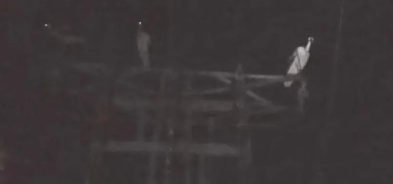 Leylekler kabus gibi çöktü!