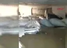 Boğulmak üzere olan kadını polis kurtardı