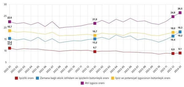 TÜİK Ocak 2024 dönemine ilişkin işsizlik oranlarını açıkladı | TÜİK Ocak 2024 işgücü istatistikleri