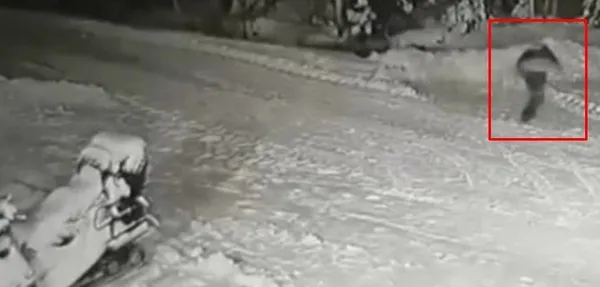 Rusya’da çocuğun ölümden mucize kurtuluşu kamerada! Kurt ile köpek karşı karşıya geldi...