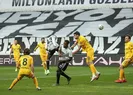 Kara kartal ağır yara aldı