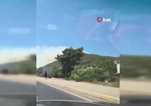 Kazdağları eteklerinde orman yangını