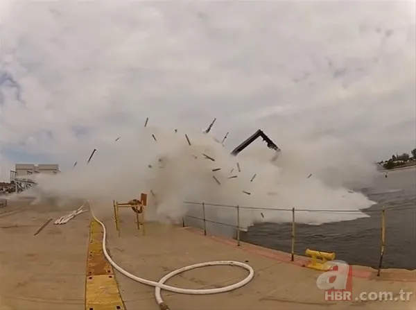 Köylüler ellerinde sopayla geziyor! Katil kuş özellikle sarışın kadınlara saldırıyor 23