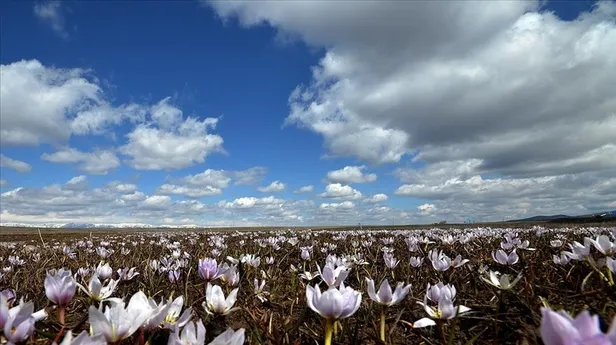 ilk-cemre-havaya-dustu-mu-2022-cemreler-ne-zaman-dusecek-havaya-suya-topraga-cemre-hangi-ay-duser-1645081541745.jpg İlk cemre havaya düştü mü? 2022 cemreler ne zaman düşecek? Havaya, suya, toprağa cemre hangi ay düşer? - 1