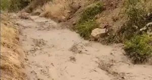 Elazığ’da sağanak yağış sele neden oldu!