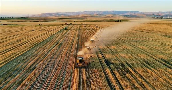 Kırsal Kalkınmada hedef 200 milyon liralık hibe - 1