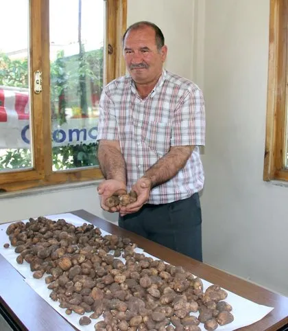 Evinde yabani orkide bulunan kişiye 40 bin lira para cezası
