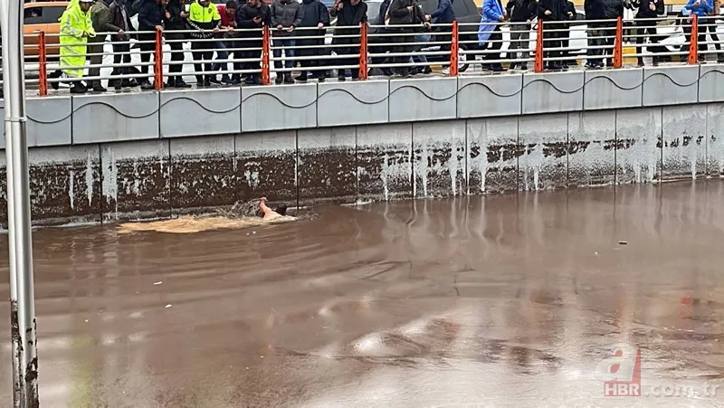 Şanlıurfa ve Adıyaman'da sel felaketi! Ölü sayısı arttı 17