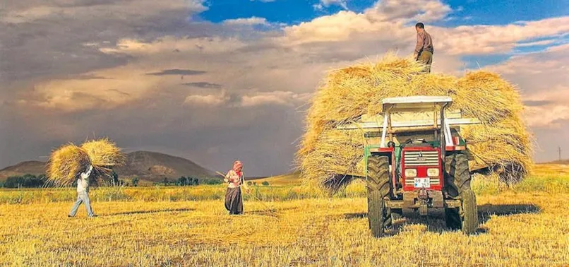Teröre bulaşan 600 çiftçinin primine el kondu