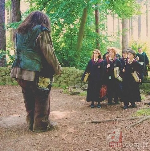 Harry Potter'ın yıldızı hayatını kaybetti 8