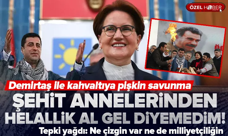 Akşener’den Demirtaş’la kahvaltı savunması