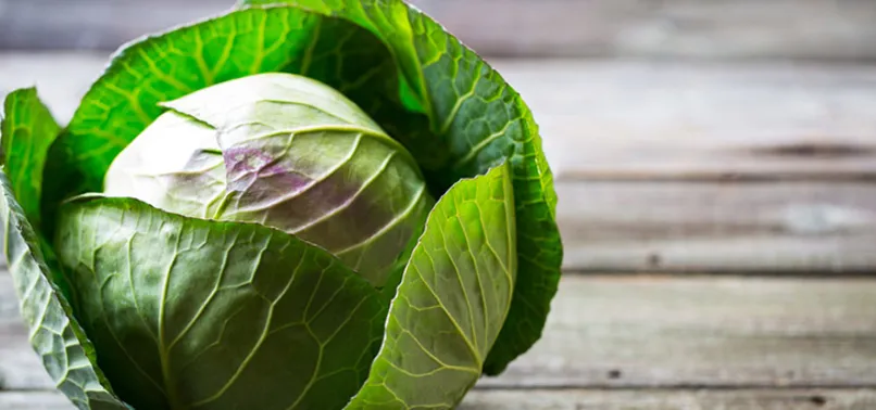 Lahanaya dikkat! O hastalığı olanlar çiğ tüketmemeli...