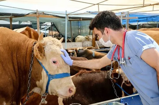 Bilim Kurulu Üyesi Prof. Dr. Mustafa Necmi İlhan’dan 'kurban derisi' uyarısı - 2