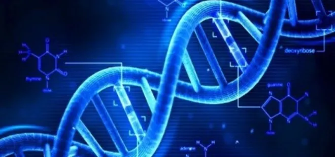 Gelecek dönüm noktalarına gebe