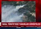 Türkiye’deki yangınları görüntüledi