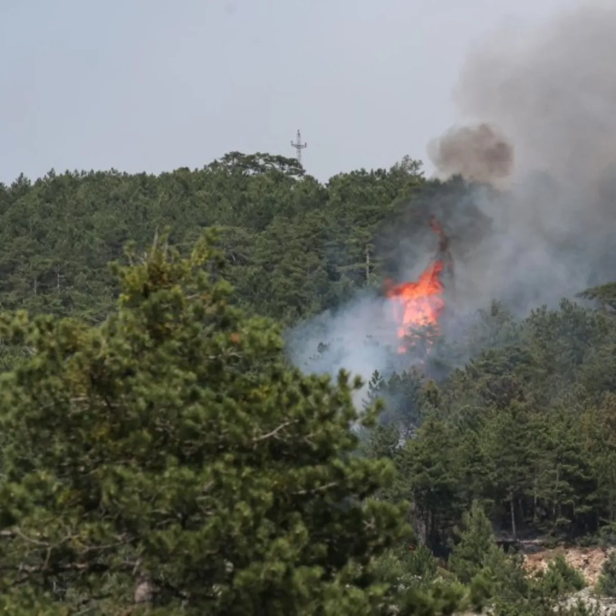 Bursa'da orman yangını! Havadan ve karadan müdahale sürüyor