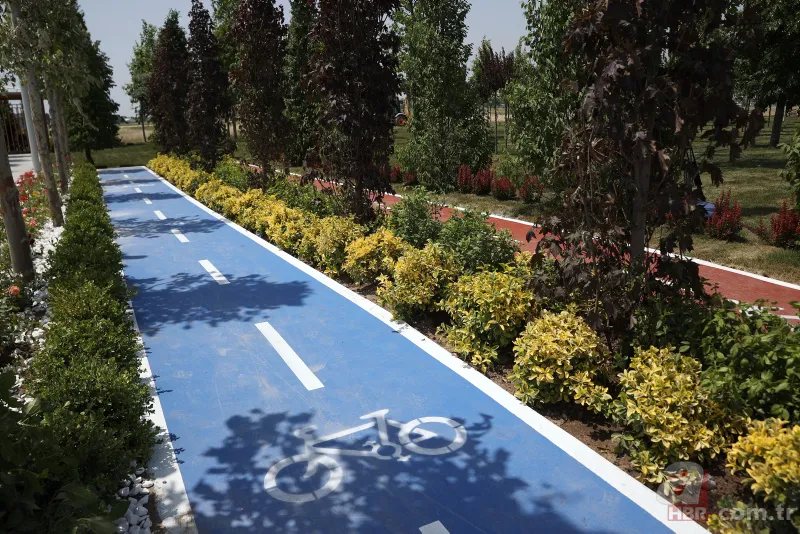 İstanbul’un fethinin 569. yılında Millet Bahçesi açılış töreni! Uzman isimler anlattı: Fatih Sultan Mehmet'in torunlarına da ancak bu yakışır 3