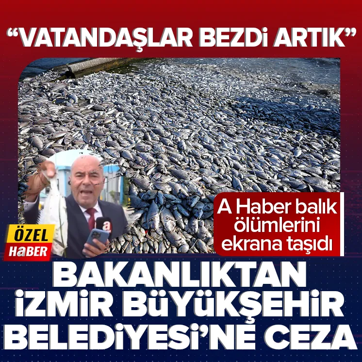 İzmir Körfezinde balık ölümleri devam ediyor