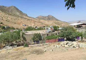 Siirt'te şarbon alarmı! O ilçeye hayvan giriş ve çıkışı yasaklandı