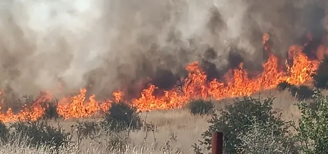 Batman’da orman yangını kontrol altına alındı