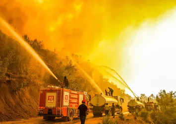 Manavgat'taki orman yangınında karar! 14 yaşındaki sanığa 7 yıl hapis